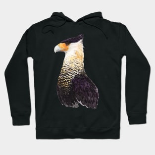 Crested Caracara Watercolor Hoodie